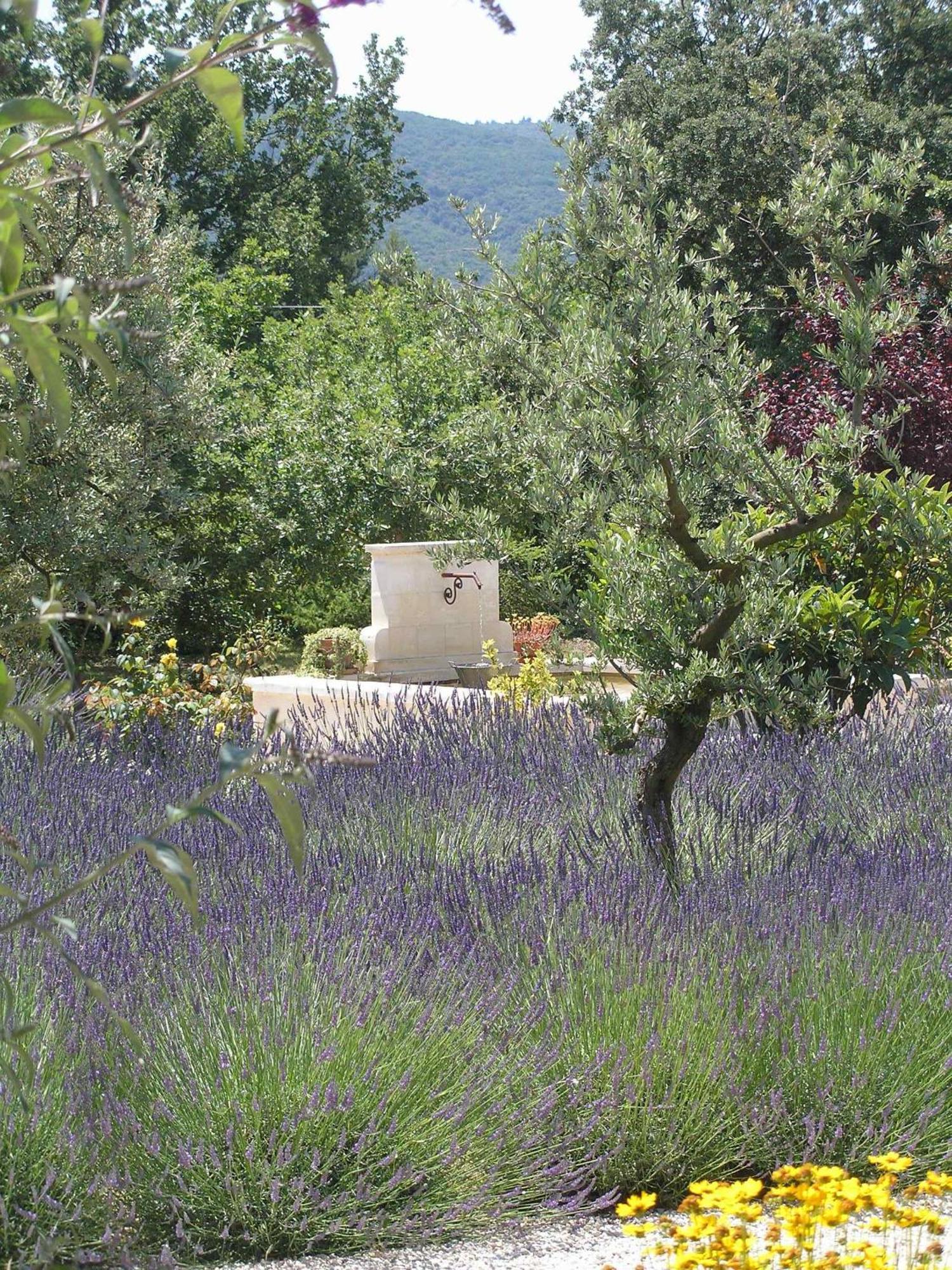 Clos Des Lavandes - Chambres Et Suites De Charme Climatisees-Luberon Лакост Екстер'єр фото