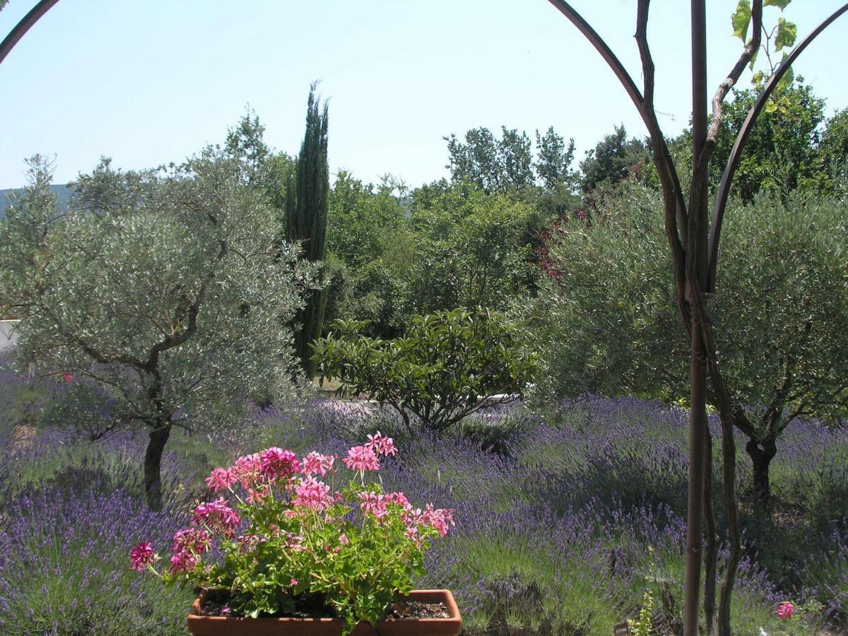 Clos Des Lavandes - Chambres Et Suites De Charme Climatisees-Luberon Лакост Екстер'єр фото