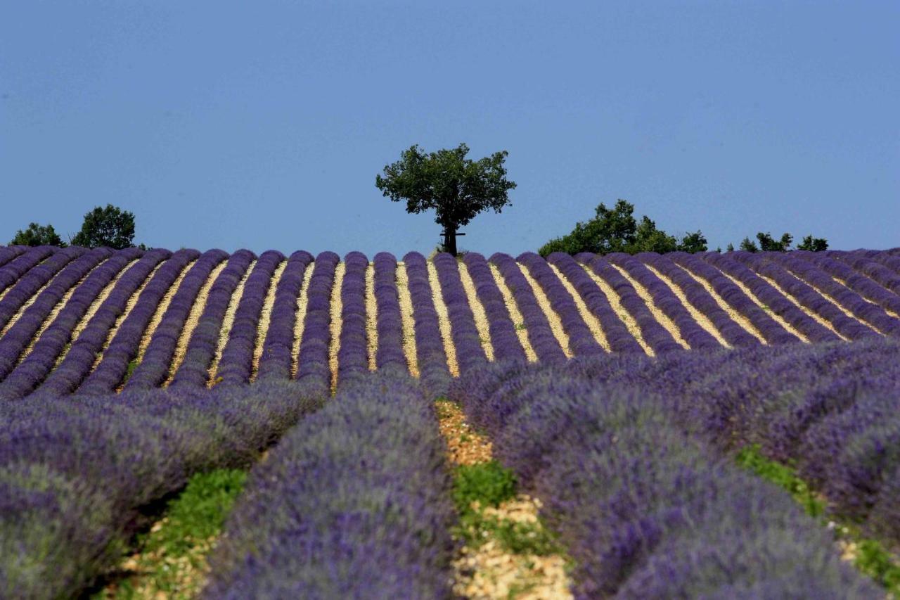 Clos Des Lavandes - Chambres Et Suites De Charme Climatisees-Luberon Лакост Екстер'єр фото