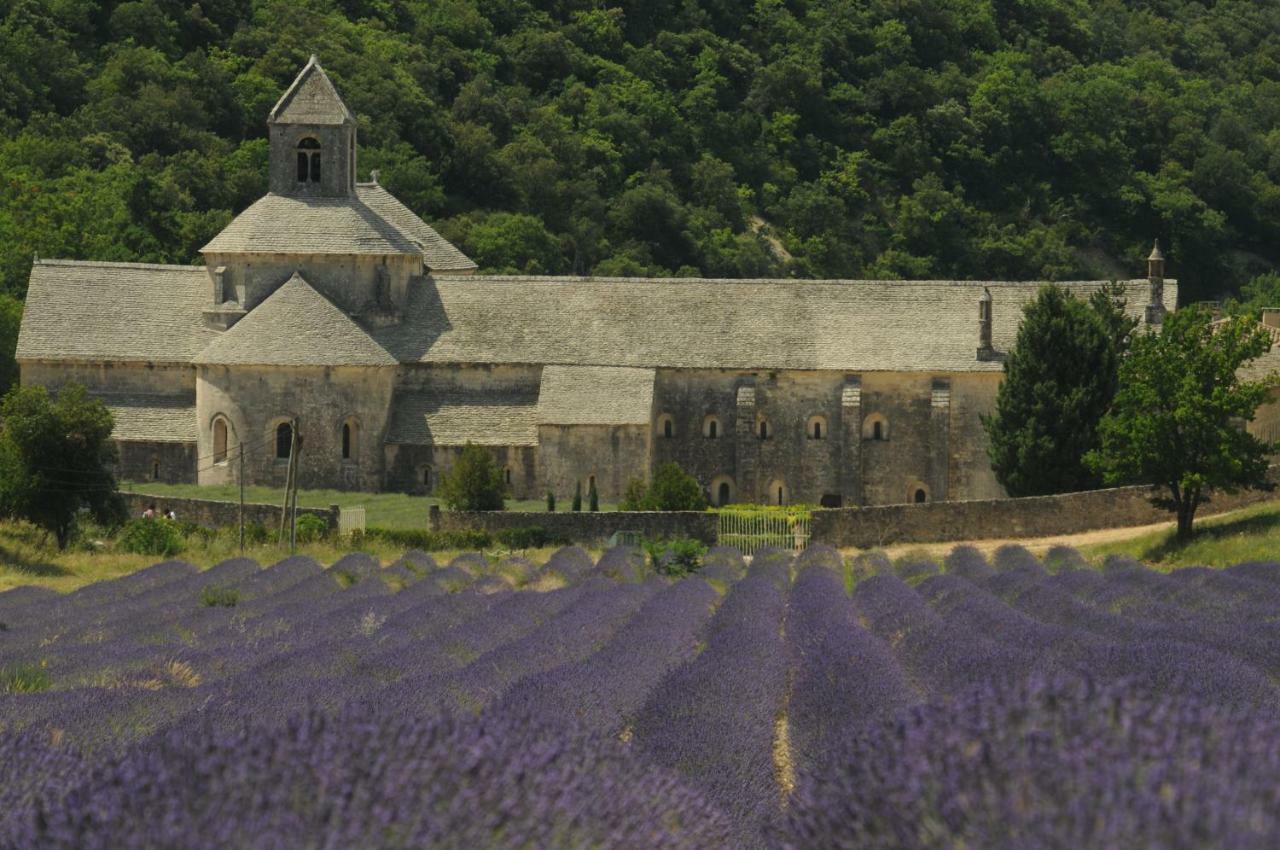 Clos Des Lavandes - Luberon Лакост Екстер'єр фото